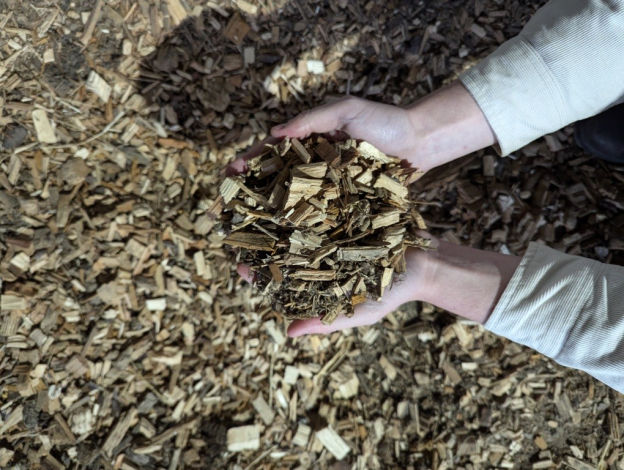Hands holding biomass woodchip fuel — is biomass heat still worth it under the RHI